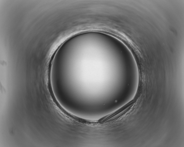 X0000091091512200708061626