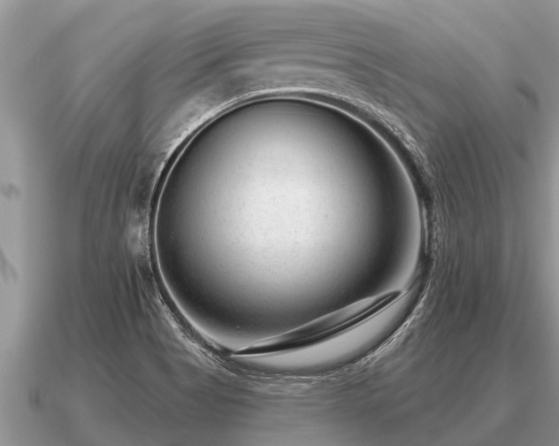 X0000091091513200708061626