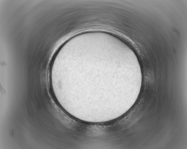 X0000091091514200708061626