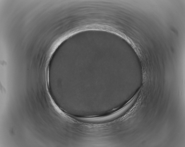 X0000091091515200708061626