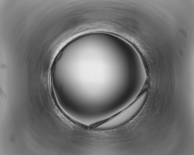 X0000091091516200708061626