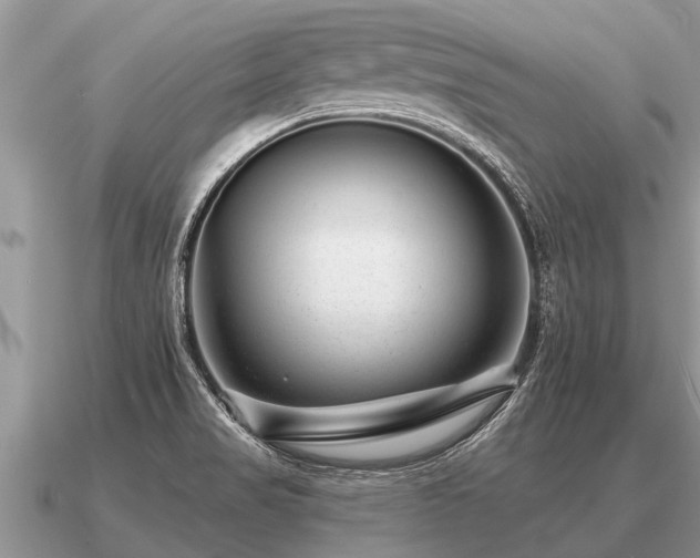 X0000091091517200708061626