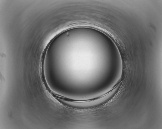 X0000091091518200708061626