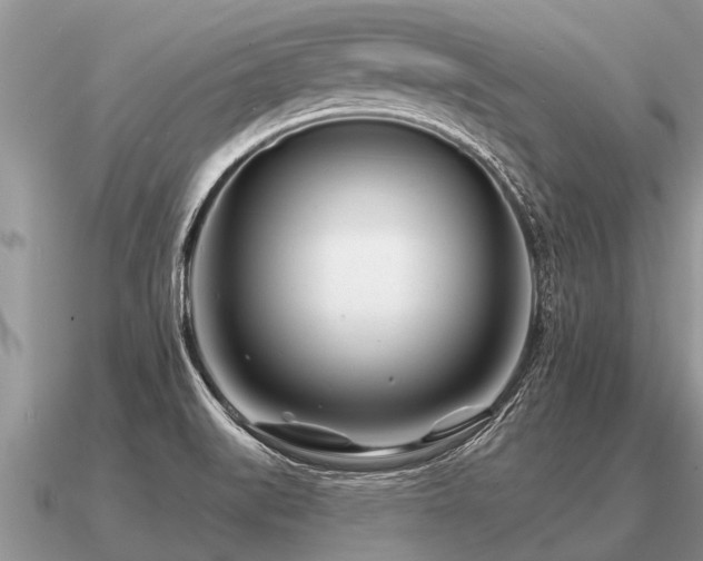 X0000091091519200708061626