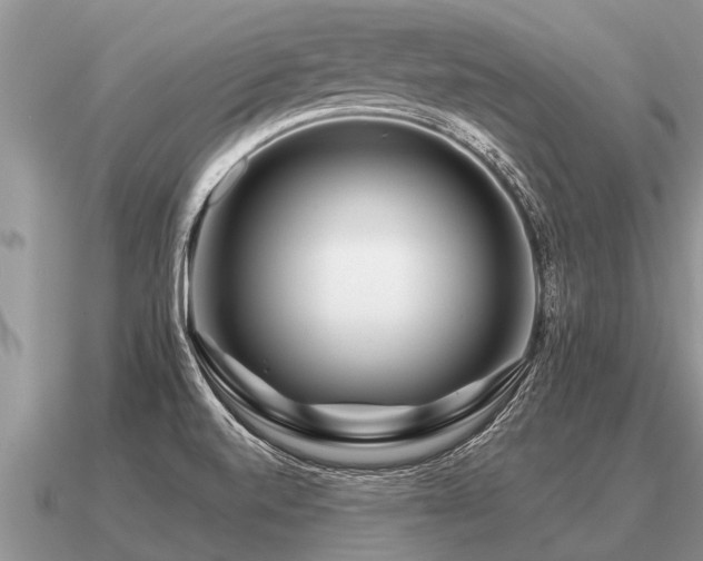 X0000091091520200708061626