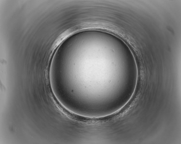 X0000091091521200708061626