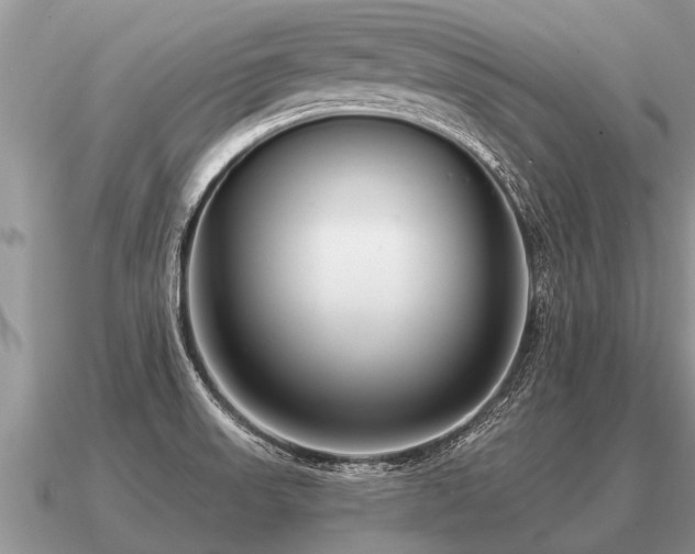 X0000091091523200708061626