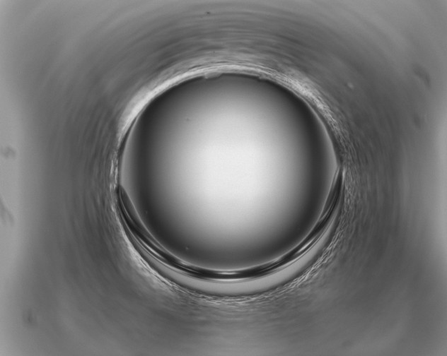 X0000091091524200708061626