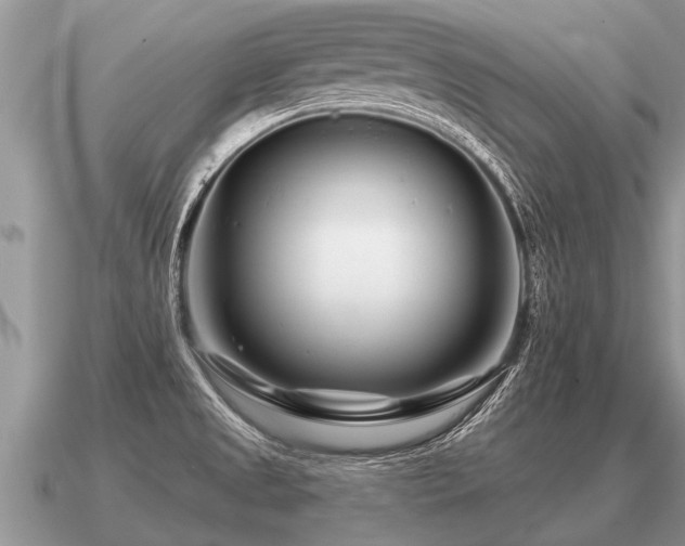 X0000091091525200708061626