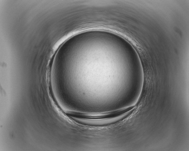 X0000091091526200708061626