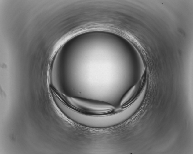 X0000091091528200708061626