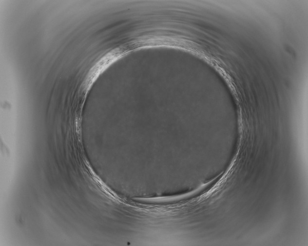X0000091091529200708061626