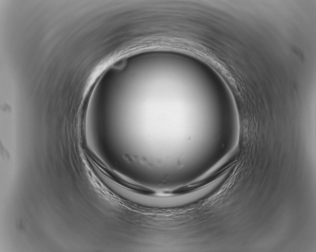 X0000091091530200708061626