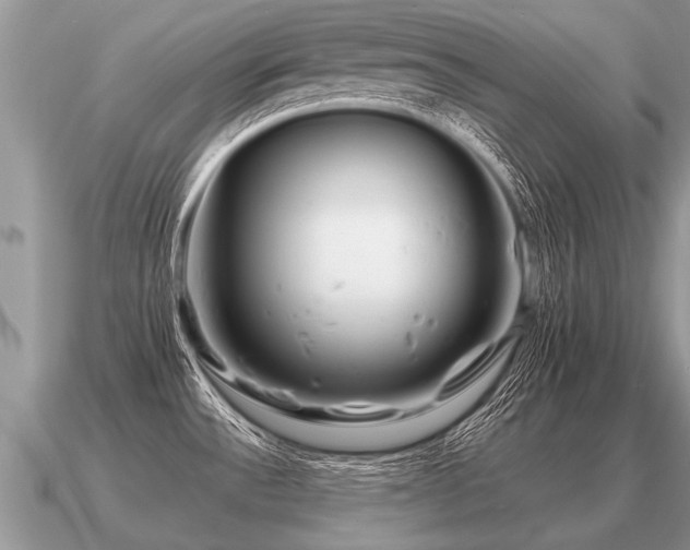 X0000091091532200708061626