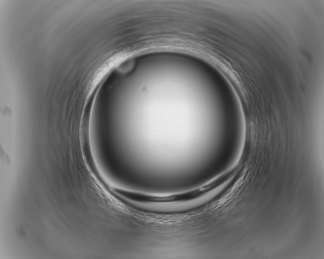 X0000091091533200708061626