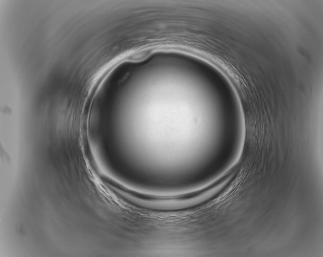 X0000091091534200708061626