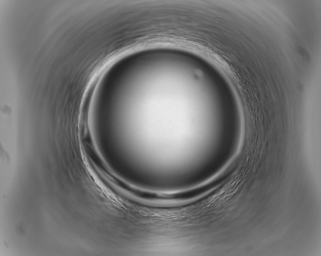 X0000091091536200708061626