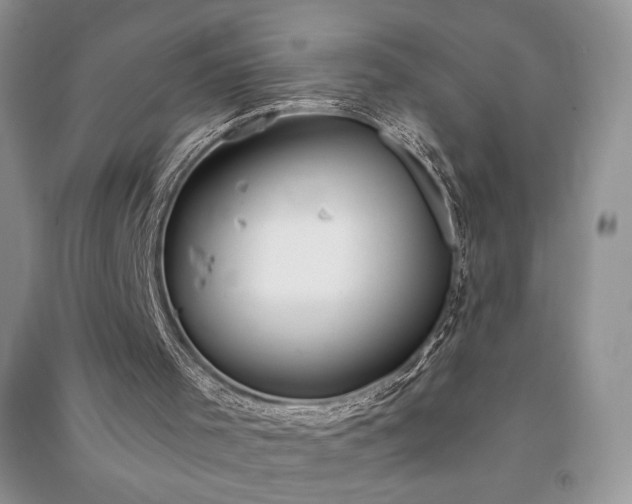 X0000091090001200708131329