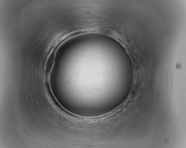 X0000091090002200708131329