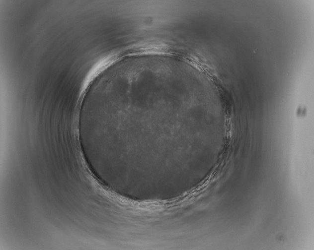 X0000091090004200708131329