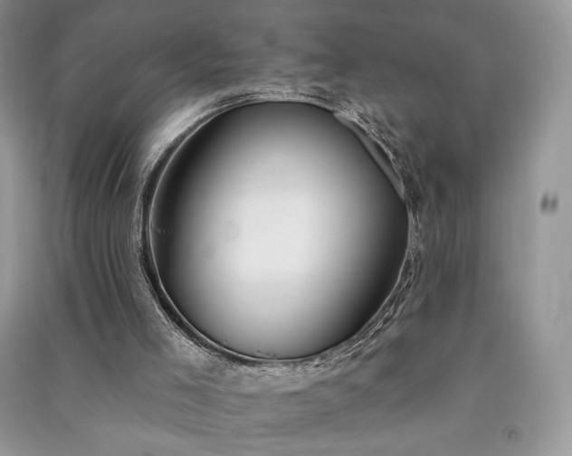 X0000091090005200708131329