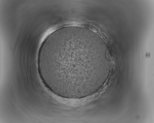 X0000091090006200708131329