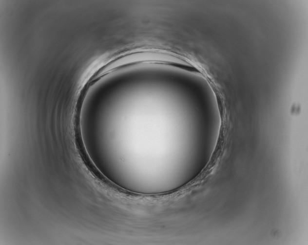 X0000091090007200708131329