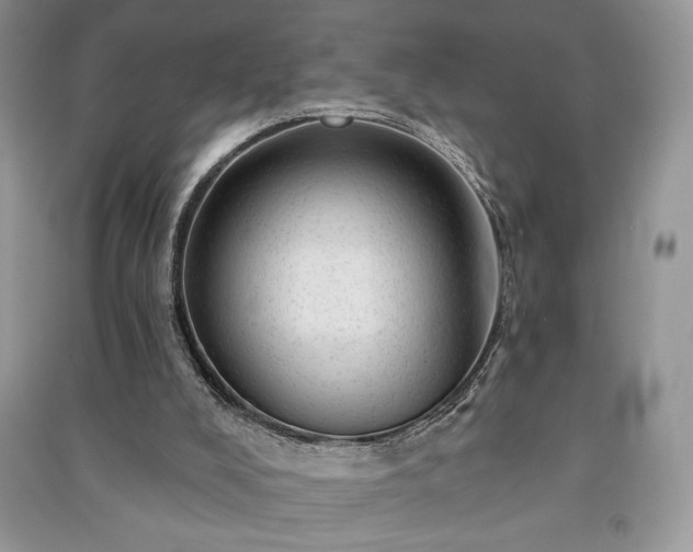 X0000091090008200708131329