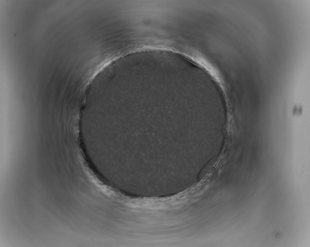 X0000091090009200708131329