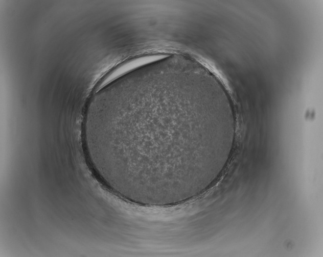 X0000091090010200708131329