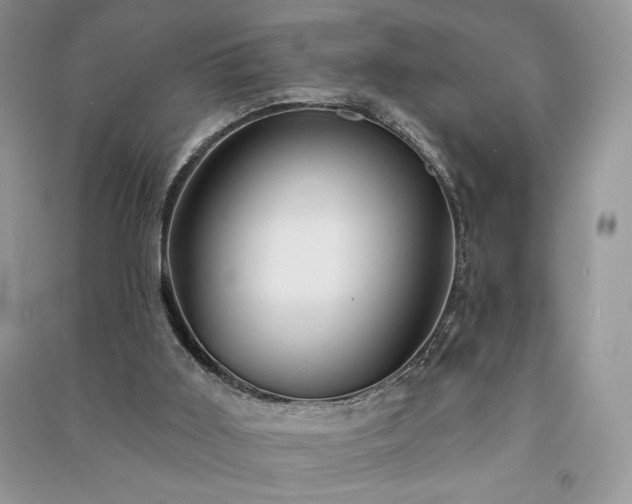X0000091090011200708131329