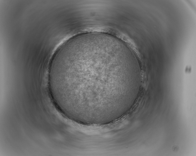X0000091090012200708131329