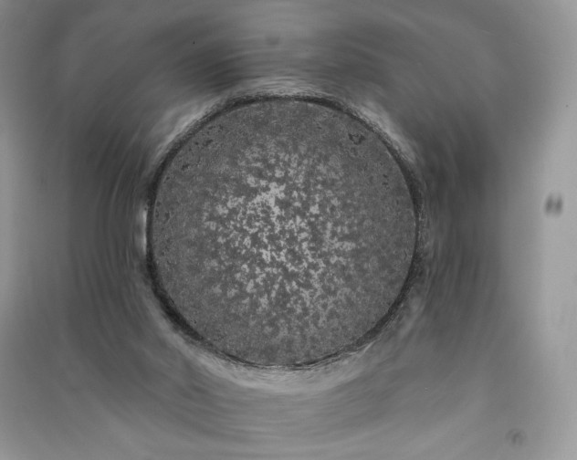X0000091090014200708131329