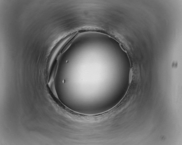 X0000091090015200708131329