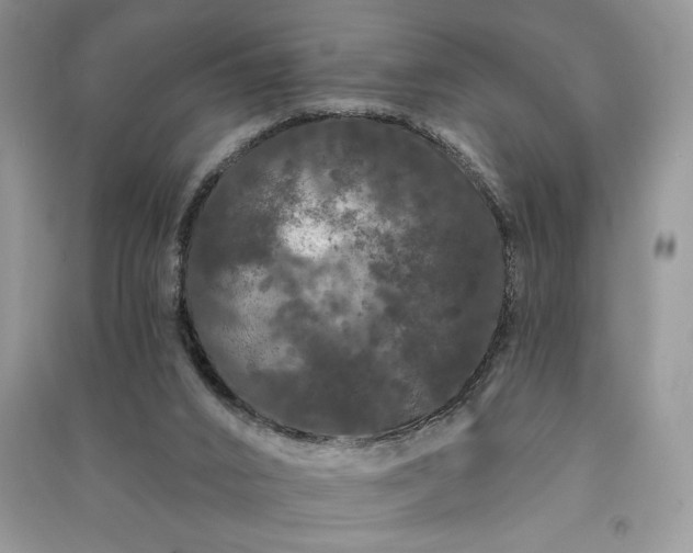 X0000091090016200708131329