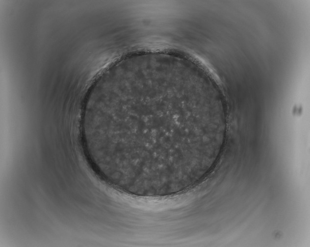 X0000091090018200708131329
