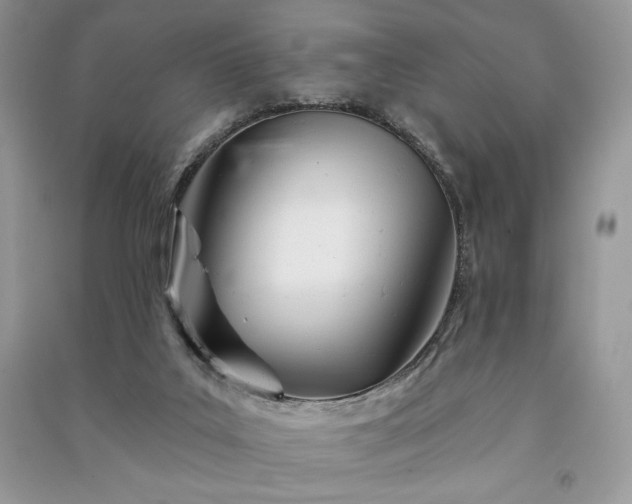 X0000091090019200708131329
