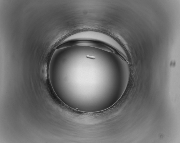 X0000091090020200708131329