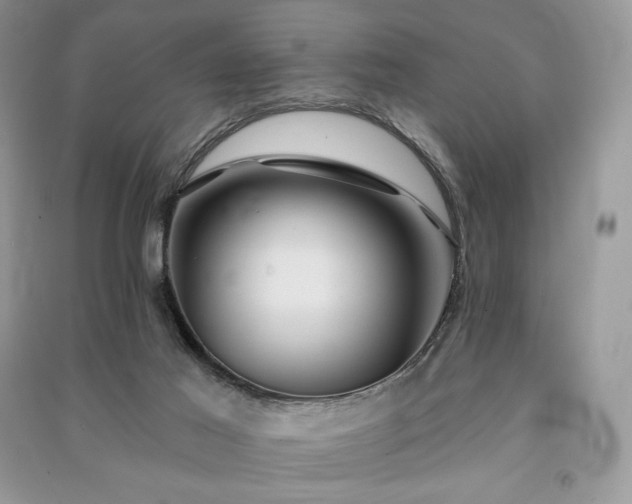 X0000091090021200708131329