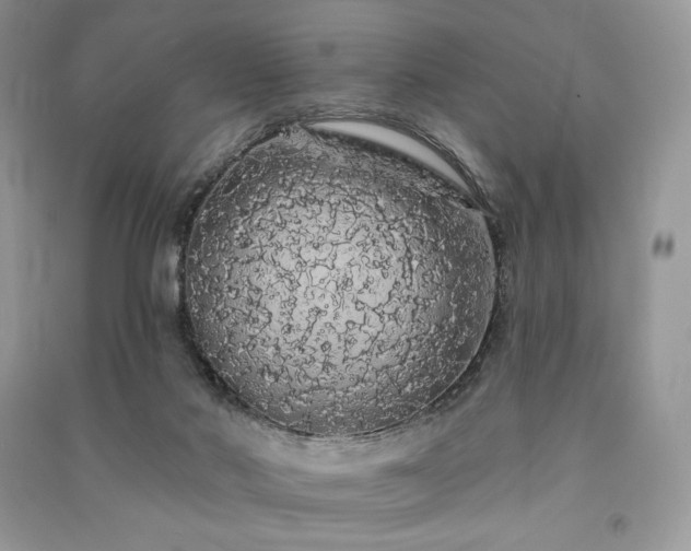X0000091090022200708131329