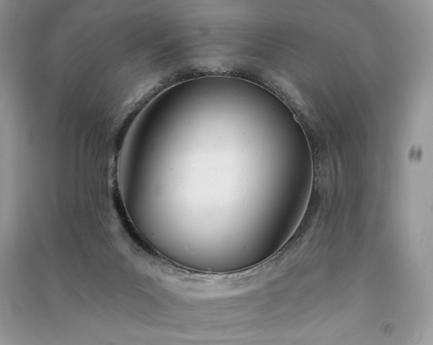 X0000091090023200708131329