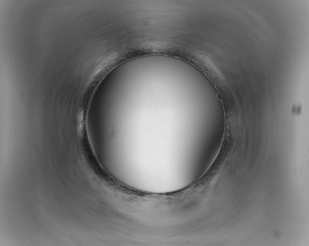 X0000091090024200708131329
