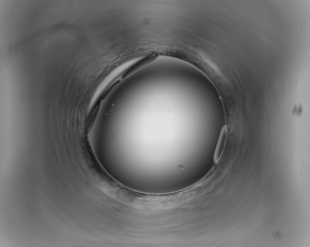 X0000091090025200708131329
