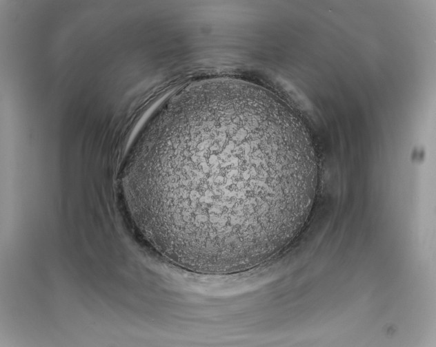 X0000091090026200708131329