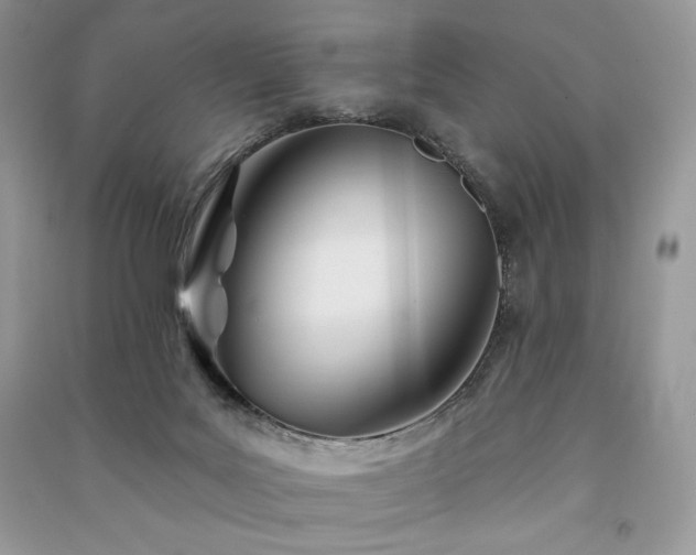 X0000091090027200708131329