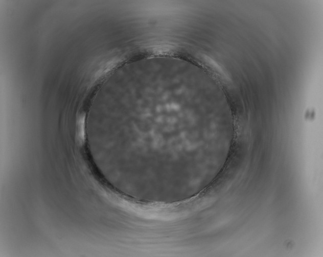 X0000091090028200708131329