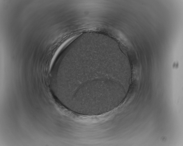 X0000091090029200708131329