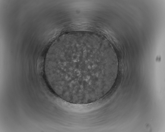 X0000091090030200708131329