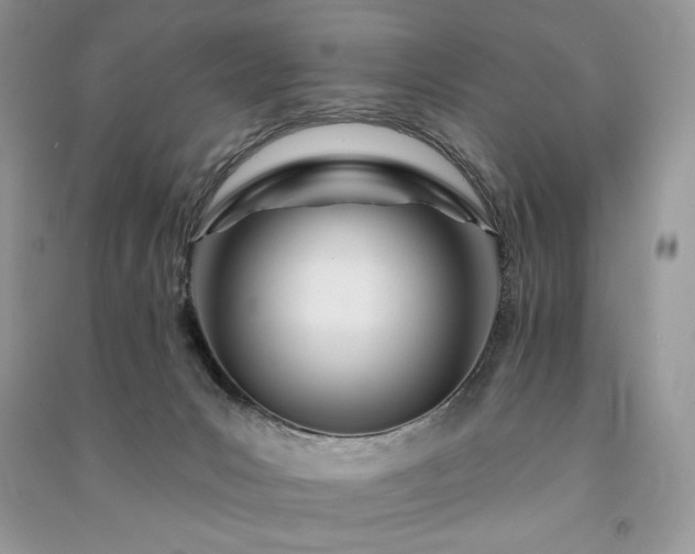 X0000091090031200708131329