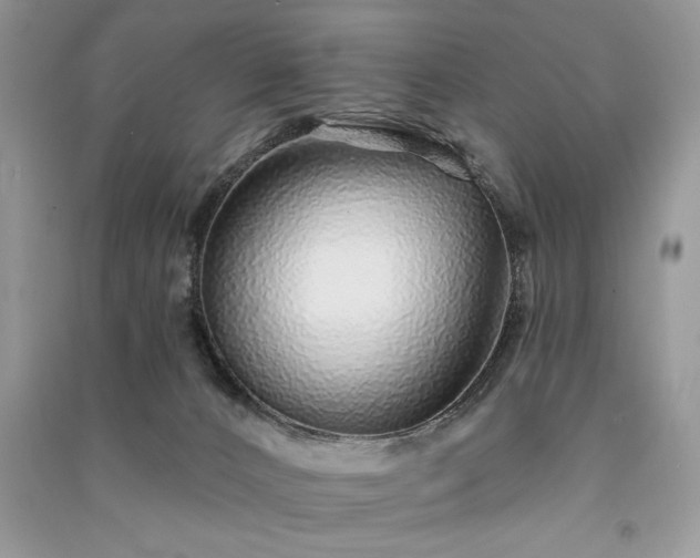 X0000091090032200708131329